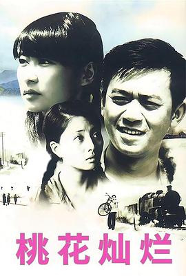 桃花灿烂（2007）