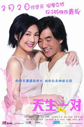 天生一对（2006）