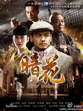 暗花【电视剧版】