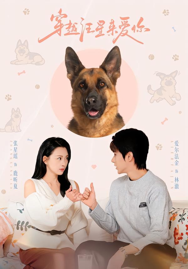 穿越汪星来爱你