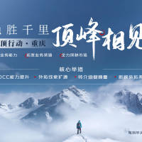顶峰