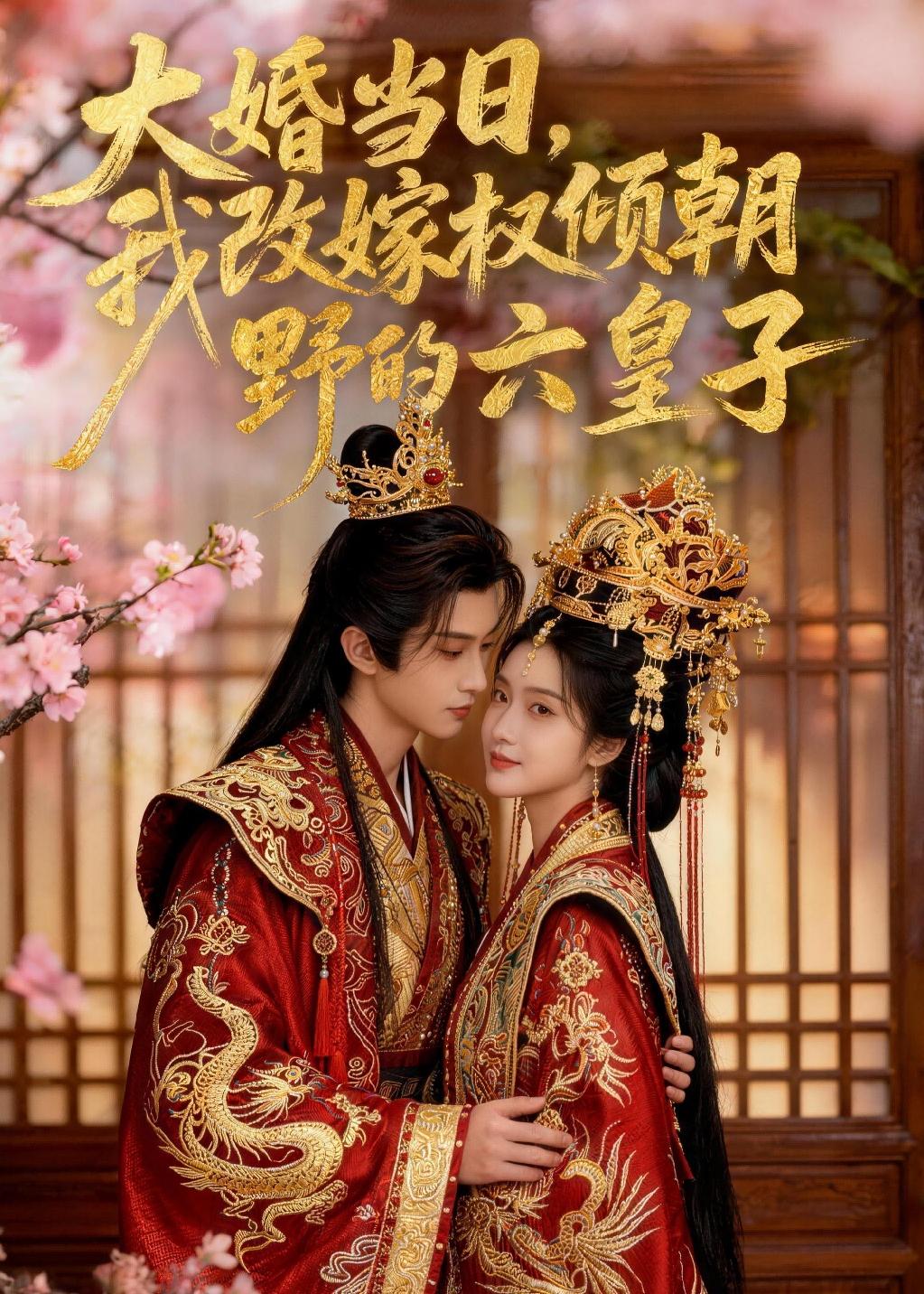 大婚当日，我改嫁权倾朝野的六皇子