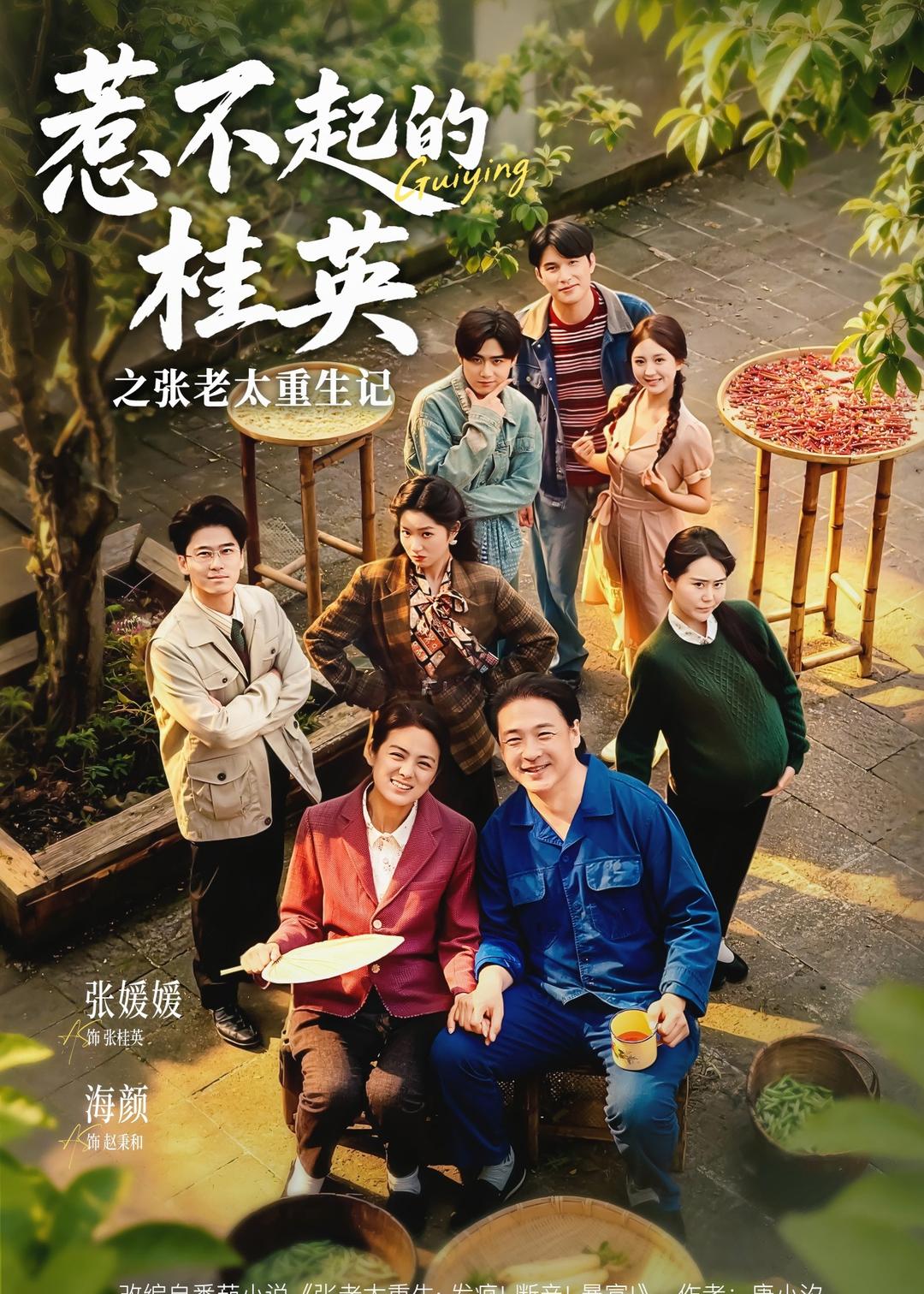 惹不起的桂英之张老太重生记