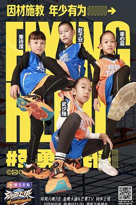 劲勇飞侠