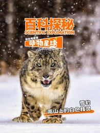 科探秘动物星球：高山上的白色精灵雪豹