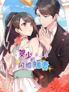 贺少的闪婚暖妻动态漫第三季