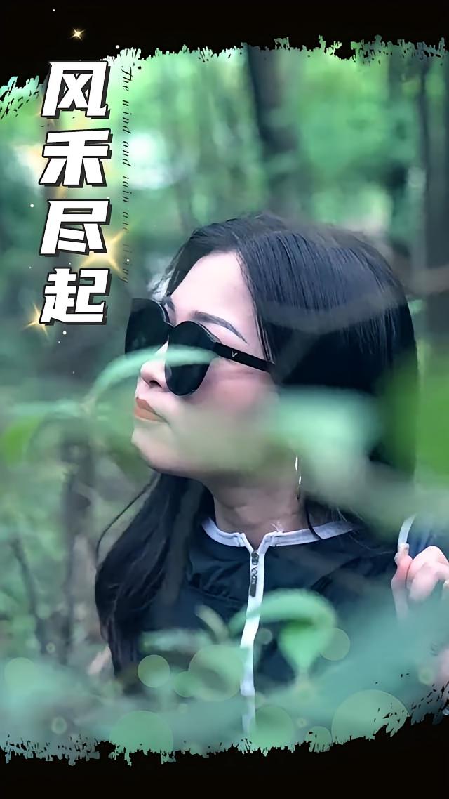 风禾尽起2025