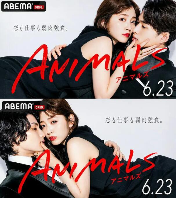 动物ANIMALS