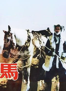 马1956