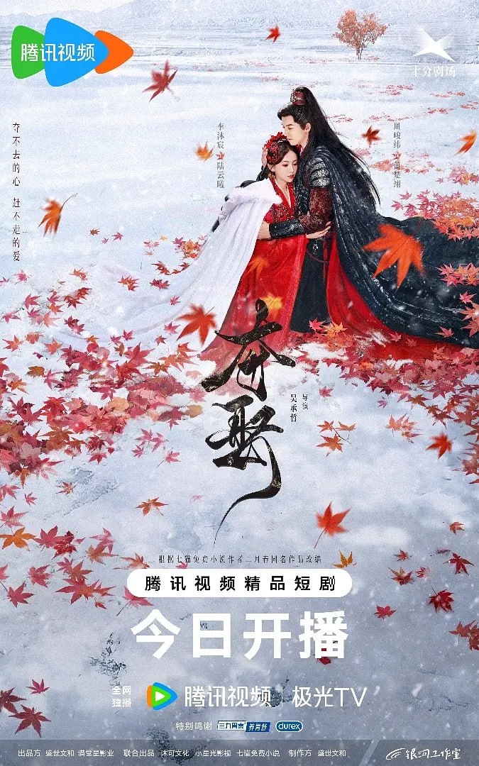 夺娶2025
