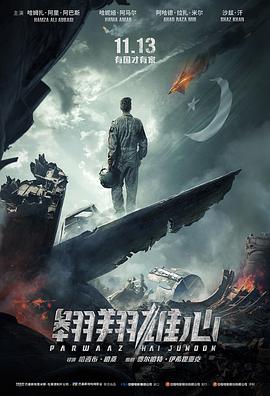 翱翔雄心（国语）