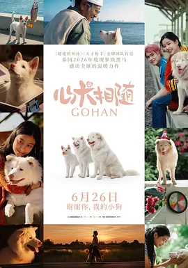 心犬相随
