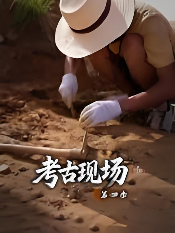 X档案考古现场第四季