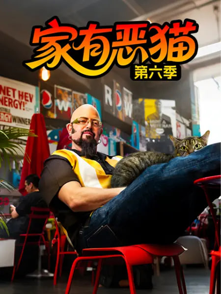 家有恶猫第六季