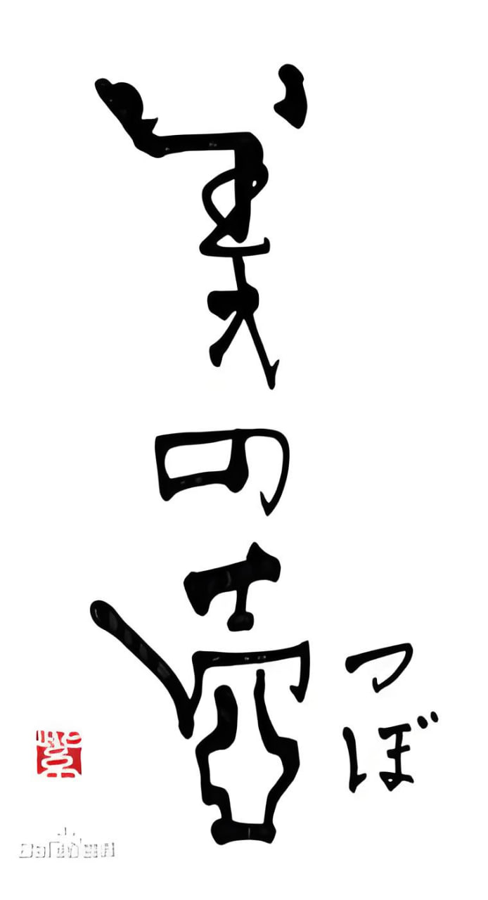 美之壶2018