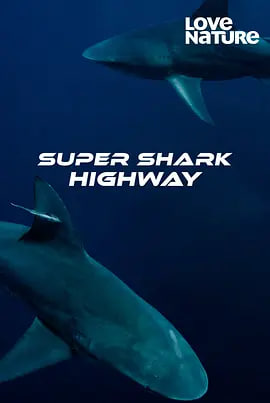 超级鲨鱼高速公路第一季