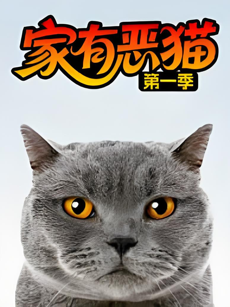 家有恶猫第一季