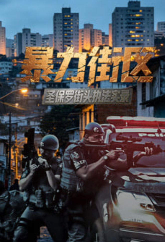 暴力街区：圣保罗街头执法实录