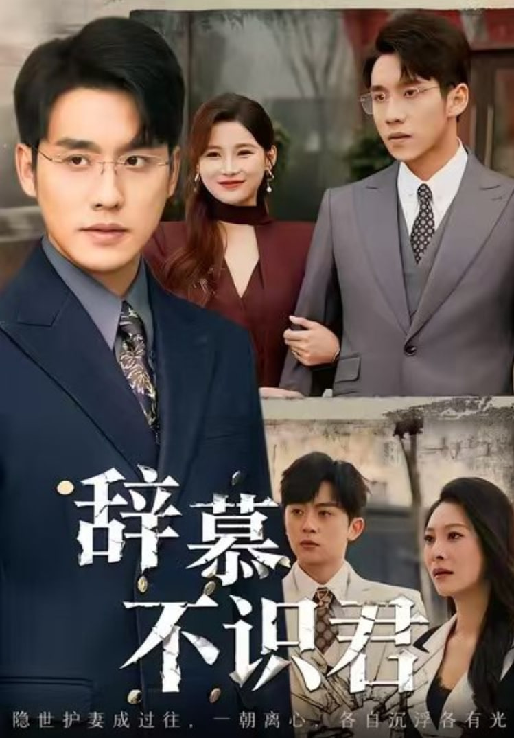 辞慕不识君（七年情深终成侮）