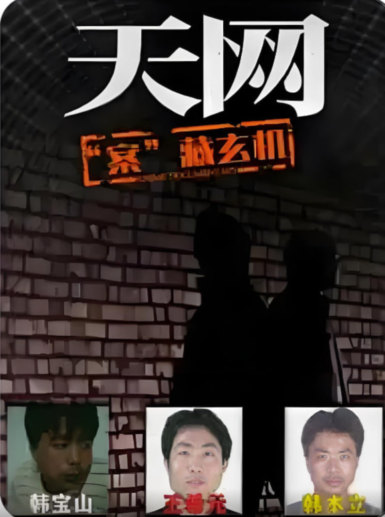 天网："案"藏玄机