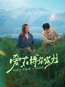 爱在博尔塔拉